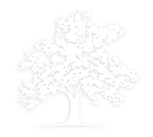 Contact Us | White Oak